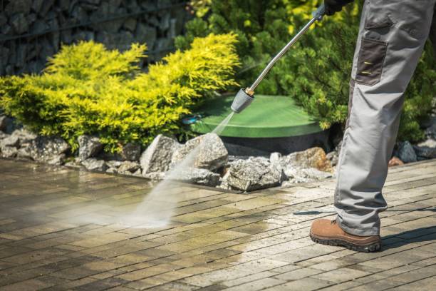 Best Soft Washing  in Sandpoint, ID